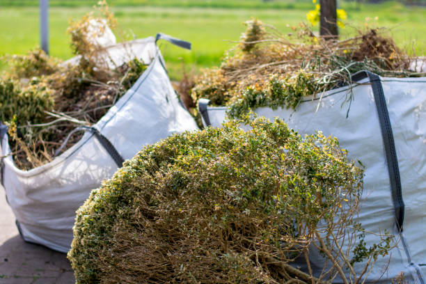Best Local Junk Hauling  in Wellton, AZ